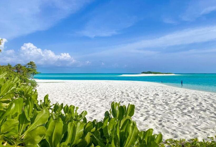 پانسیون Kuda Giri