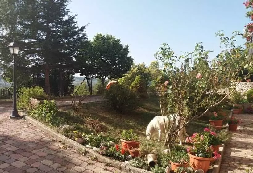 ベッドアンドブレックファースト La Loggia