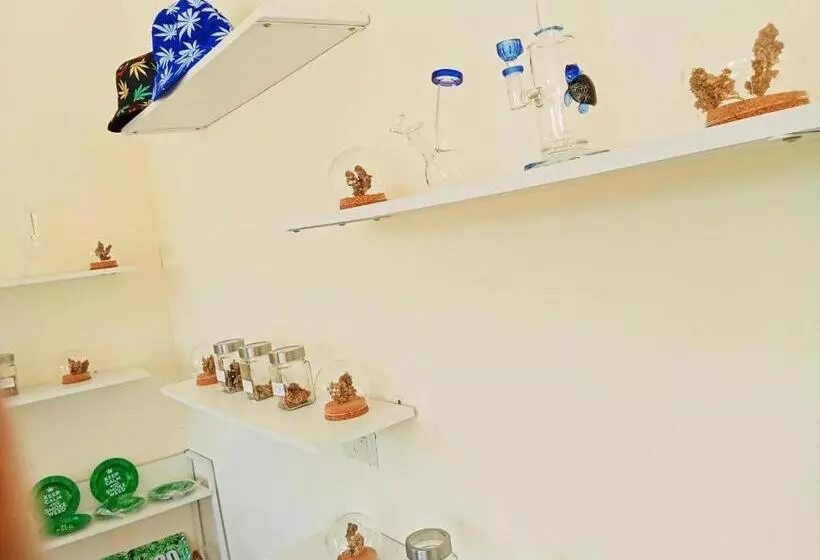 هتل Castaway S 420