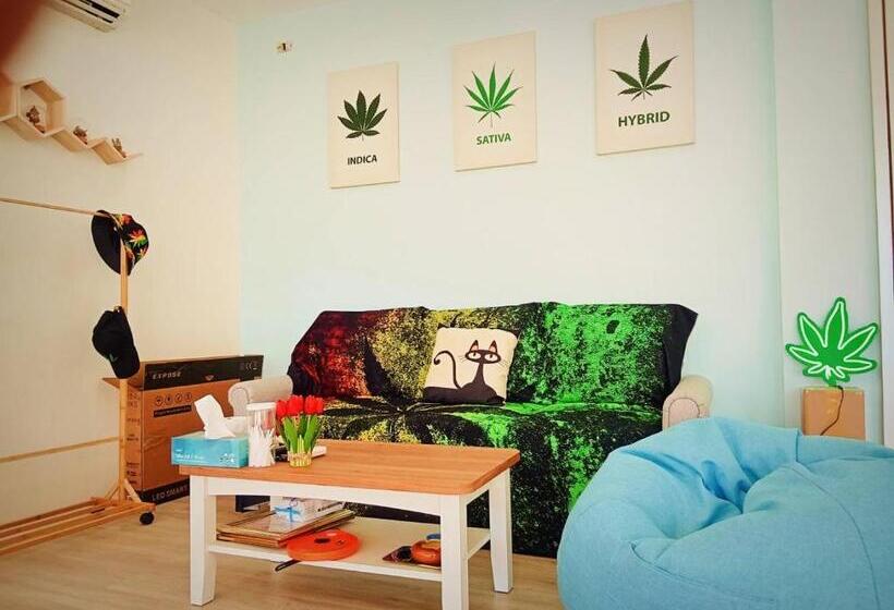 هتل Castaway S 420