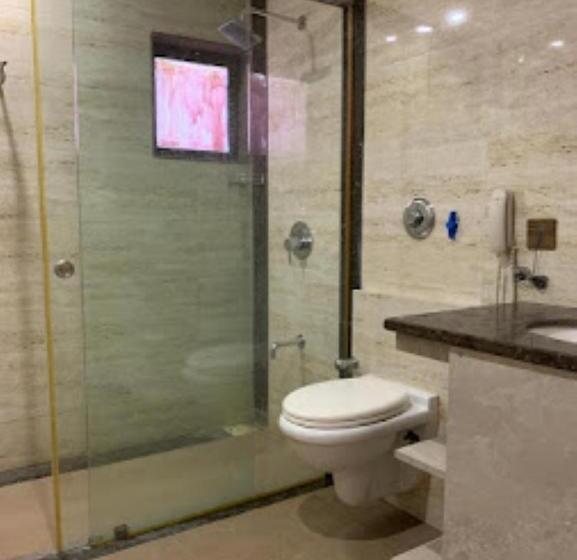 Отель Radhe Anand