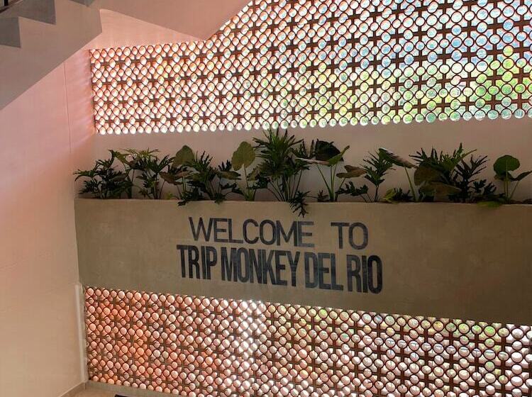 هتل Trip Monkey Del Río