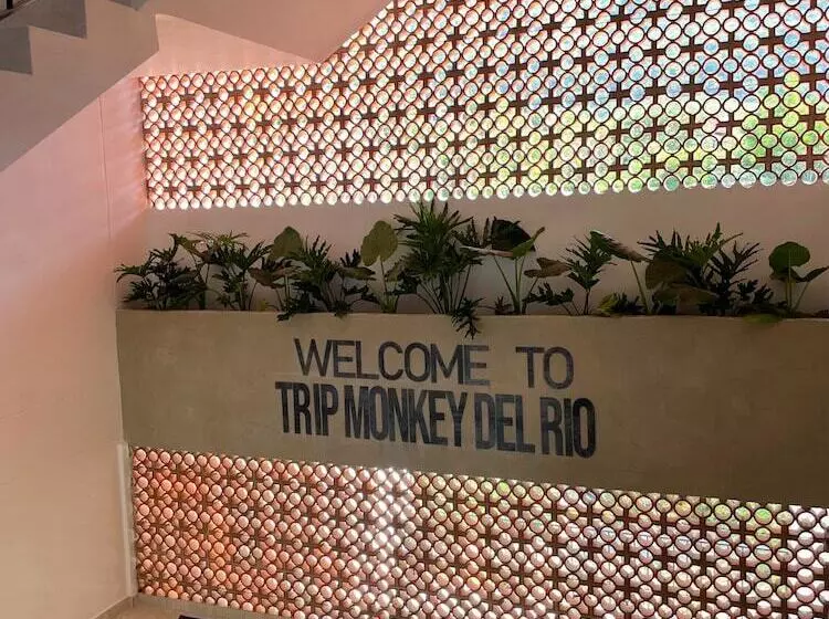 ホテル Trip Monkey Del Río