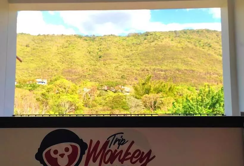 ホテル Trip Monkey Del Río