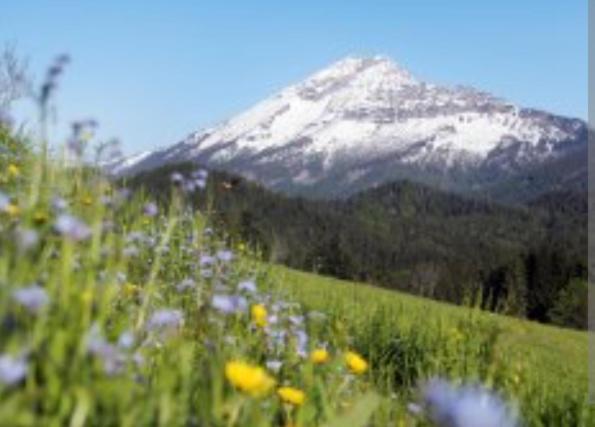 膳宿费 Villa Fortuna Natur