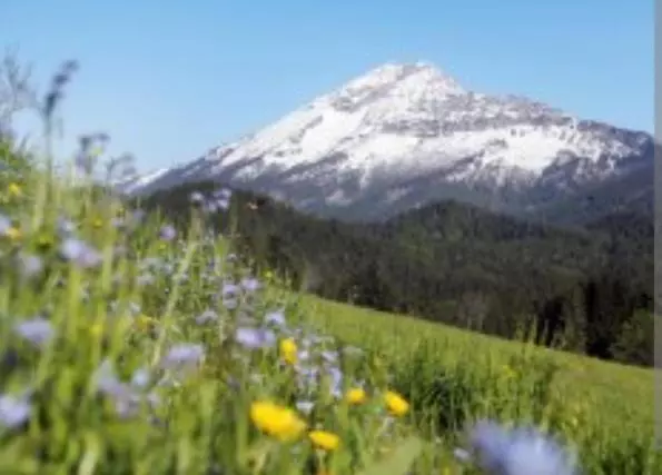 Majatalo Villa Fortuna Natur
