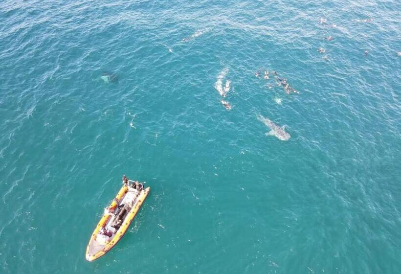 Peri Peri Divers B&b Morrungulo