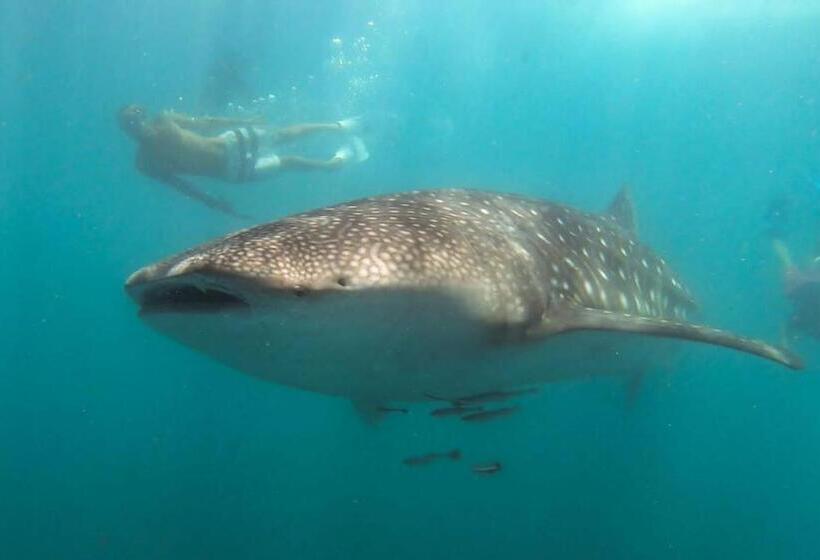 Peri Peri Divers B&b Morrungulo