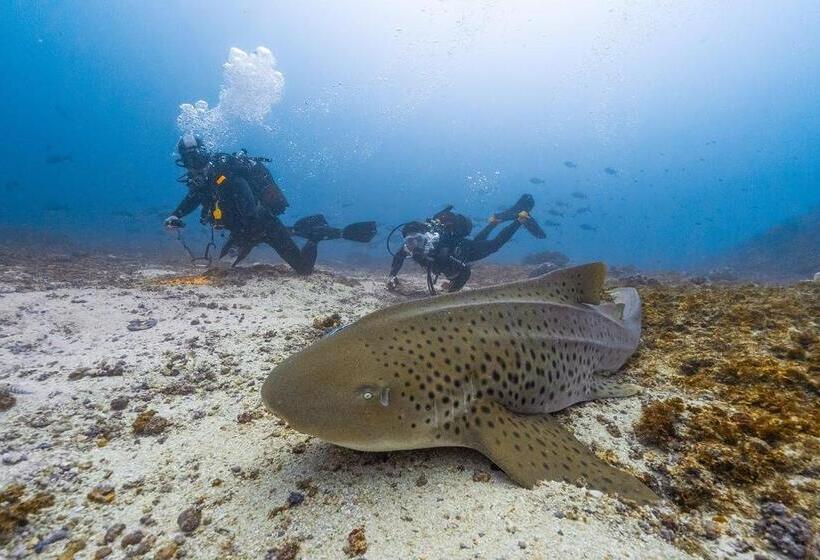 Peri Peri Divers B&b Morrungulo