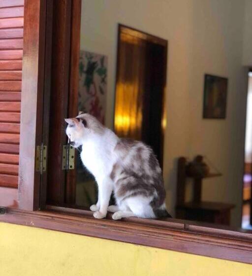 مبيت وإفطار Refúgio Na Chapada Dos Veadeiros Com Cachoeira