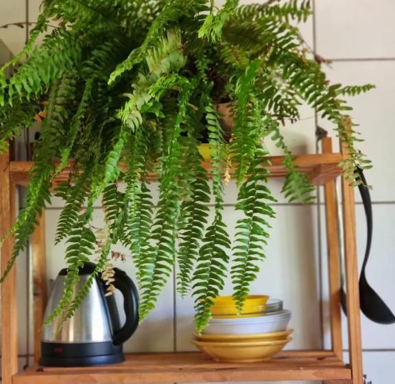 مبيت وإفطار Refúgio Na Chapada Dos Veadeiros Com Cachoeira