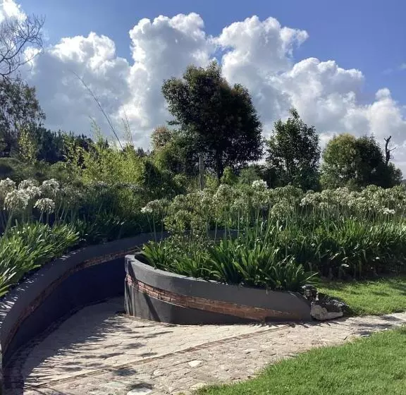 ホテル Las Carretas , Spa Y Temazcal