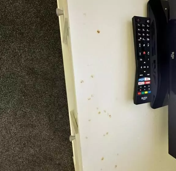 Lovely Town House Room 5