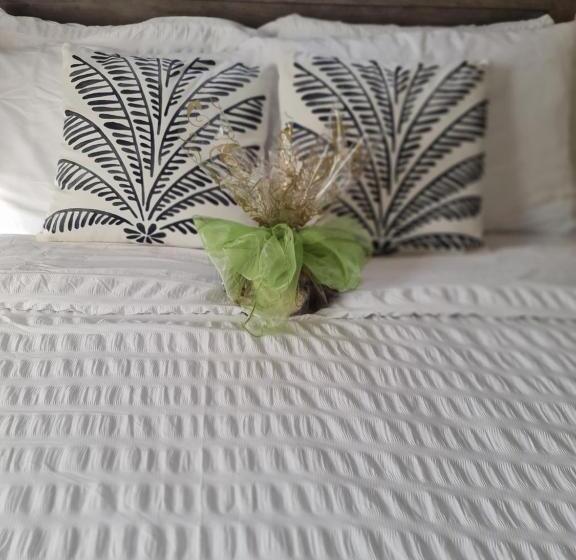 پانسیون Green Door Oasis