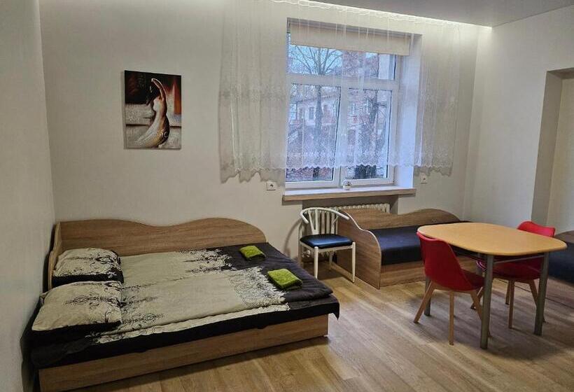 پانسیون Kauno Apartamentai Big Room King Size Bed