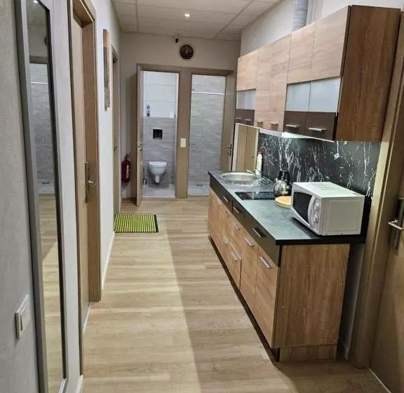 پانسیون Kauno Apartamentai Big Room King Size Bed