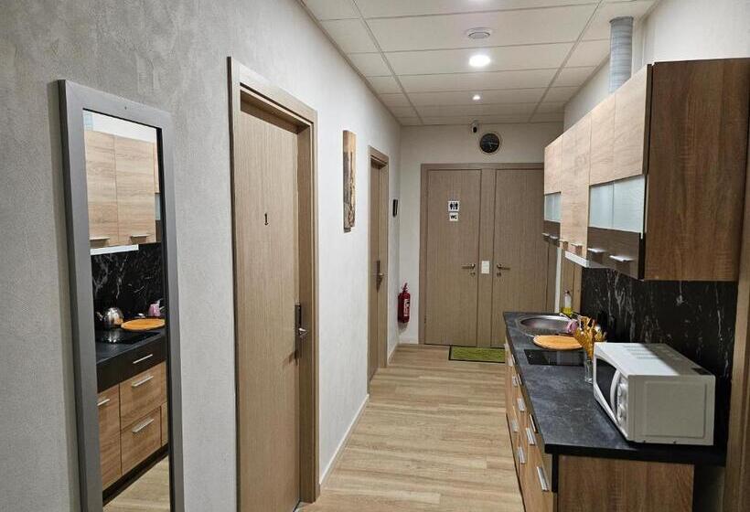 پانسیون Kauno Apartamentai Big Room King Size Bed