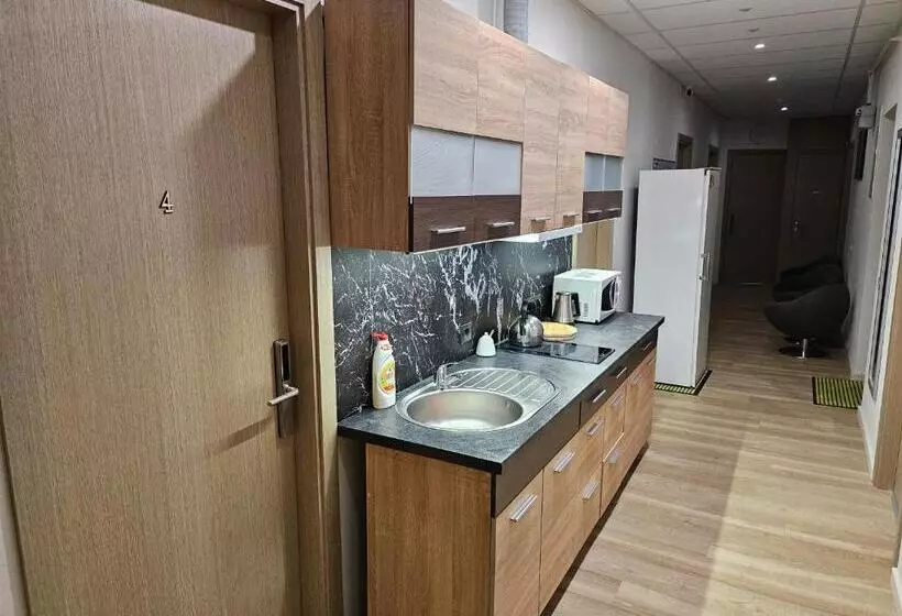 پانسیون Kauno Apartamentai Big Room King Size Bed