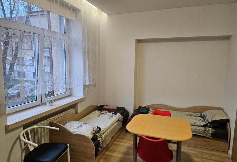 پانسیون Kauno Apartamentai Big Room King Size Bed