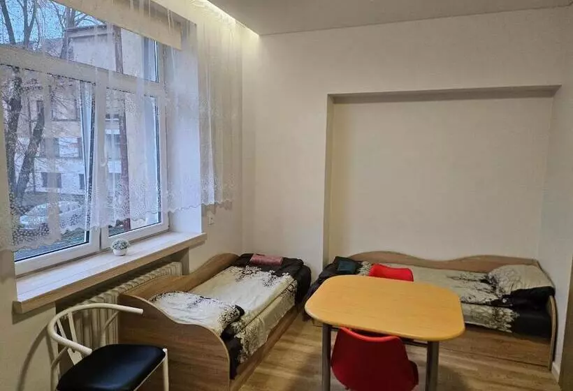 پانسیون Kauno Apartamentai Big Room King Size Bed