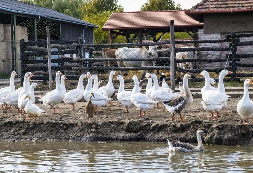 Erdőspuszta Club Hotel Fenyves