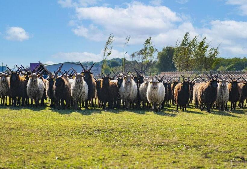 Erdőspuszta Club Hotel Fenyves