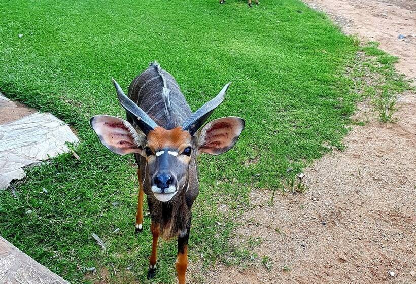 Отель Blyde River Wilderness Lodge