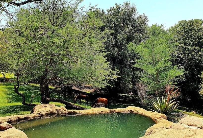 Отель Blyde River Wilderness Lodge