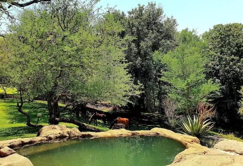 Hotelli Blyde River Wilderness Lodge