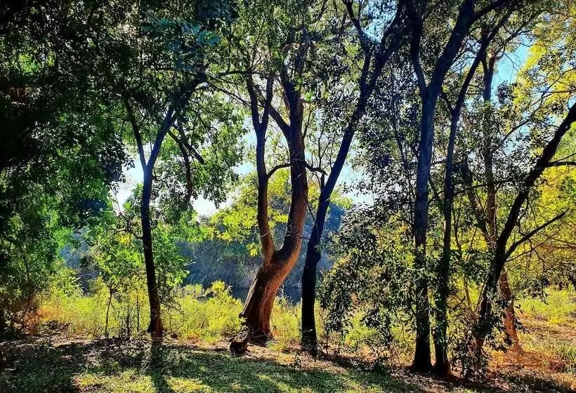 Hotelli Blyde River Wilderness Lodge