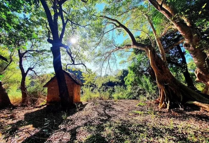Hotelli Blyde River Wilderness Lodge