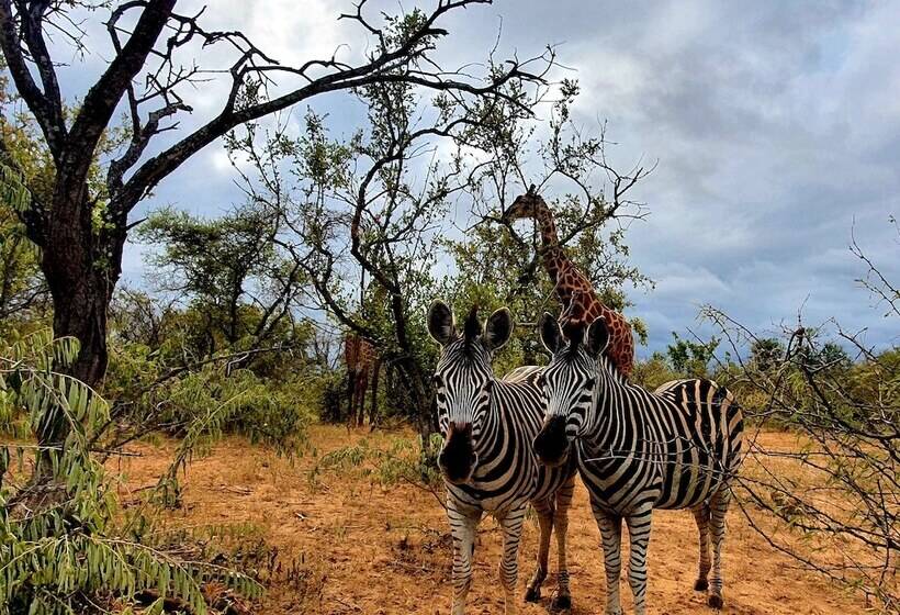 Отель Blyde River Wilderness Lodge