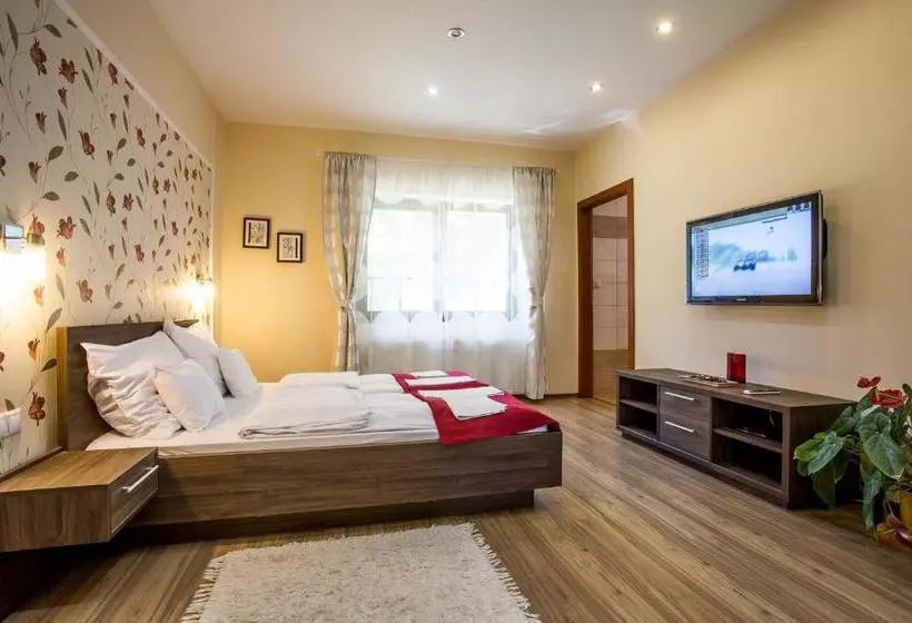 ホテル Nyirfa Apartmanház