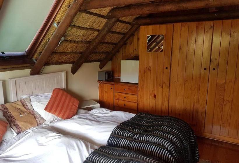 فندق The Beautiful South Guesthouse