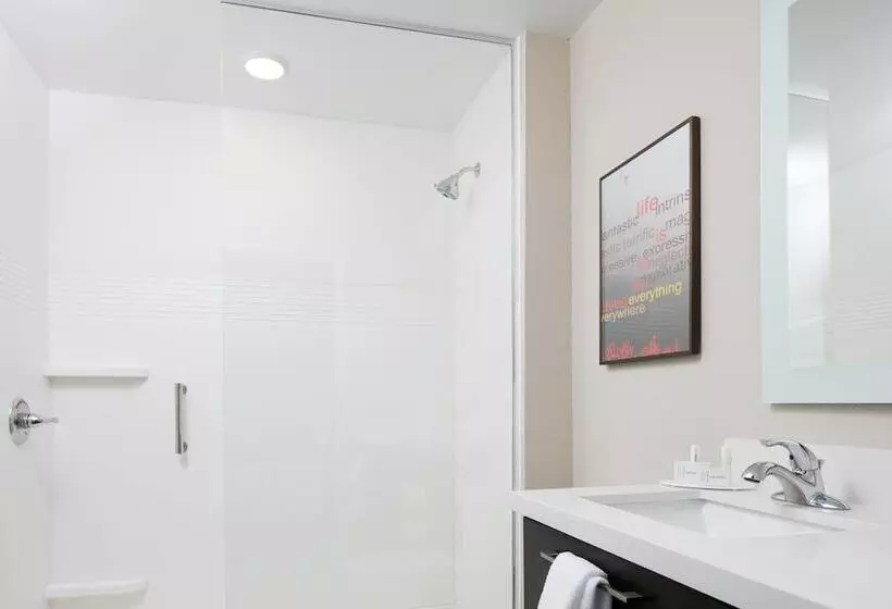 هتل Towneplace Suites By Marriott Kansas City Airport