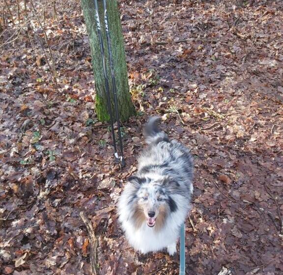 Hotell Villa Lessing