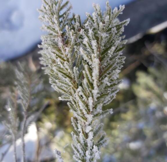 Hotell Villa Lessing