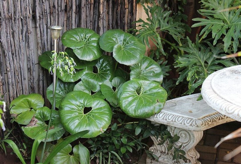 Pensión Ukarimu Guest House