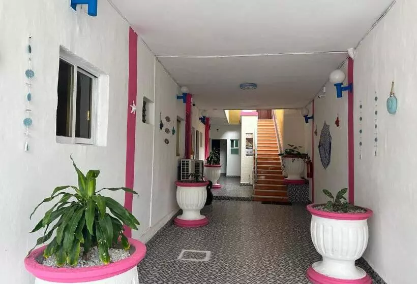 هتل Capri Playa A Una Calle De La Playa Regatas