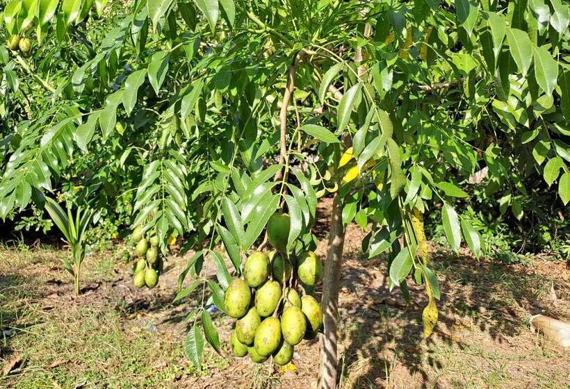 Pensjonat Pps.guest House