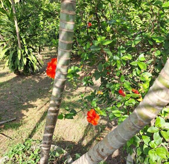 Pensjonat Pps.guest House