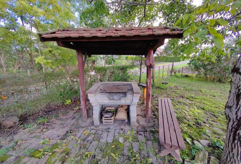 پانسیون Sobe Za Radnike