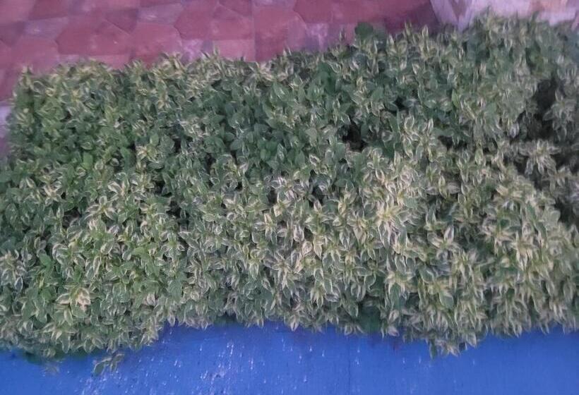 Silverbuttons Apartments & Eats