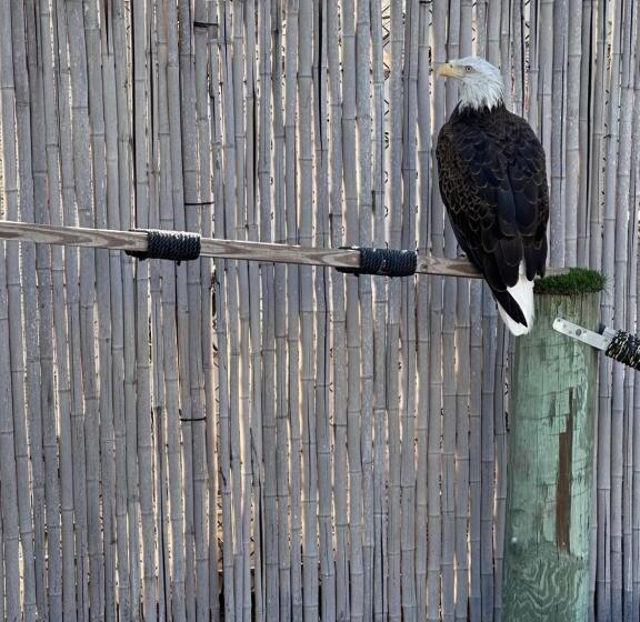 Breathtaking Views Beach Condo   Sleeps 8!