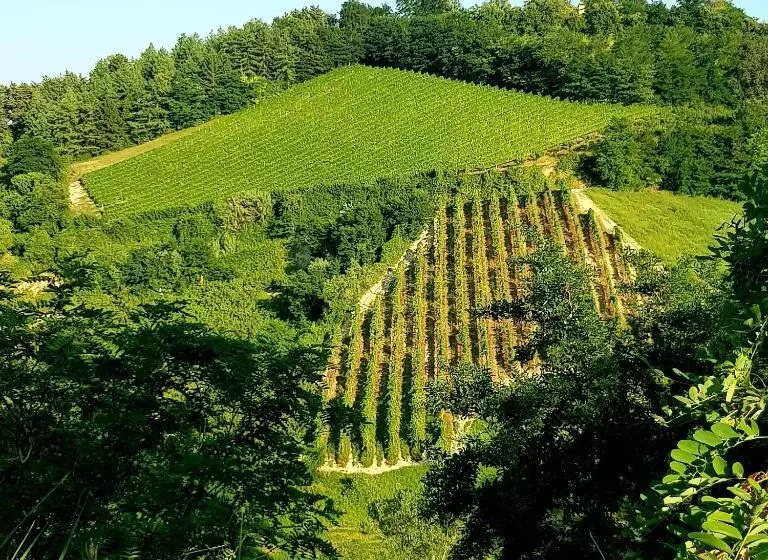 ホテル Azienda Agricola Biologica Le Lucciole