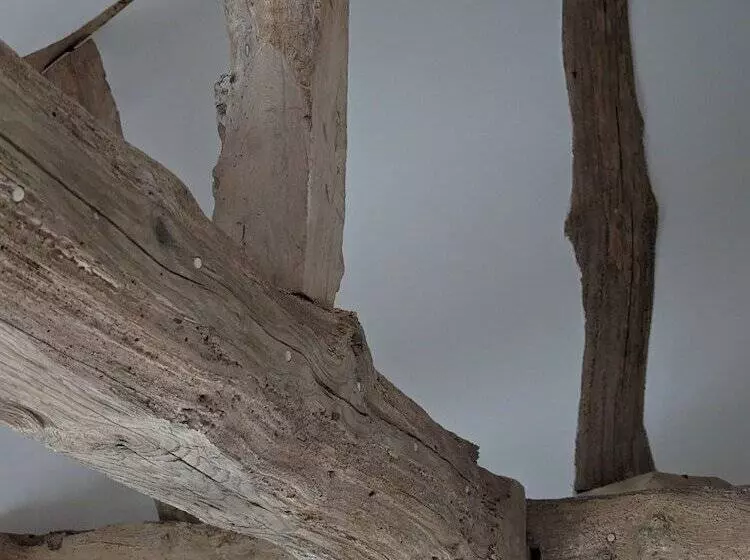 ホテル Hôtel 4 étoiles Château   Domaine De Coeurmandie