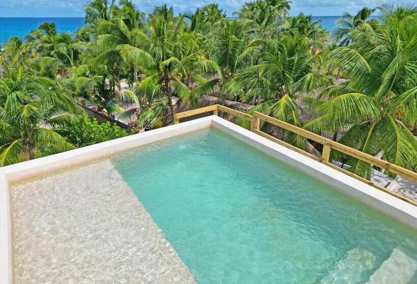 펜션 Casa Alkimia Town