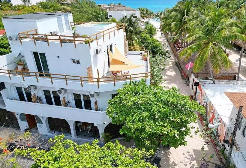 Majatalo Casa Alkimia Town