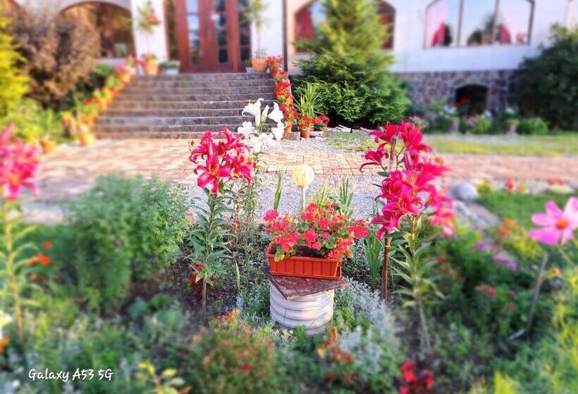 ペンション Hanul Curtea Veche