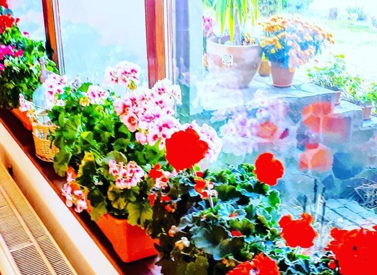 ペンション Hanul Curtea Veche